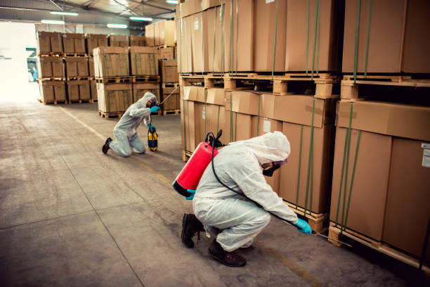 Best Residential Pest Control  in North Salt Lake, UT
