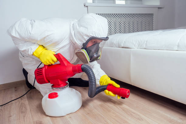 Best Emergency Pest Control  in North Salt Lake, UT