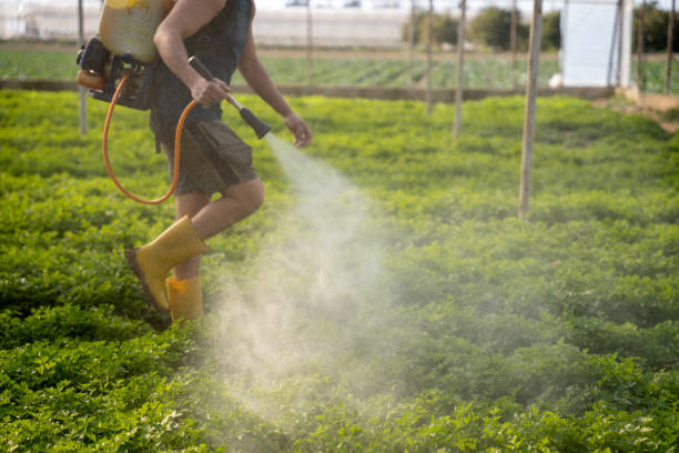 Best Residential Pest Control  in North Salt Lake, UT