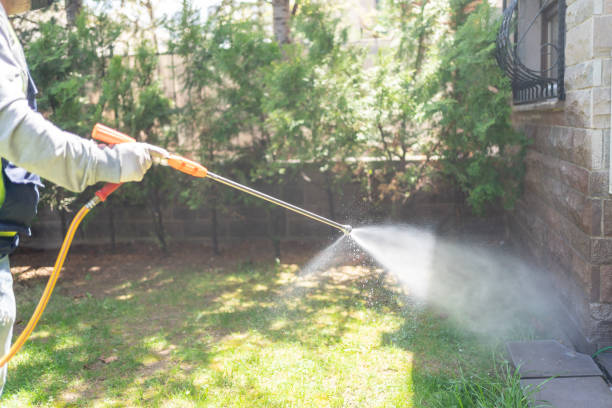 Best Mosquito Control Services  in North Salt Lake, UT