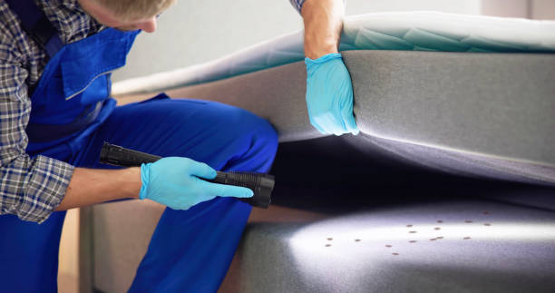 Best Affordable Pest Control Services  in North Salt Lake, UT