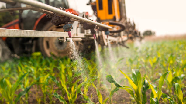 Best Commercial Pest Control Services  in North Salt Lake, UT