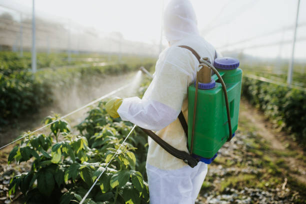 Best Exterminator Services  in North Salt Lake, UT